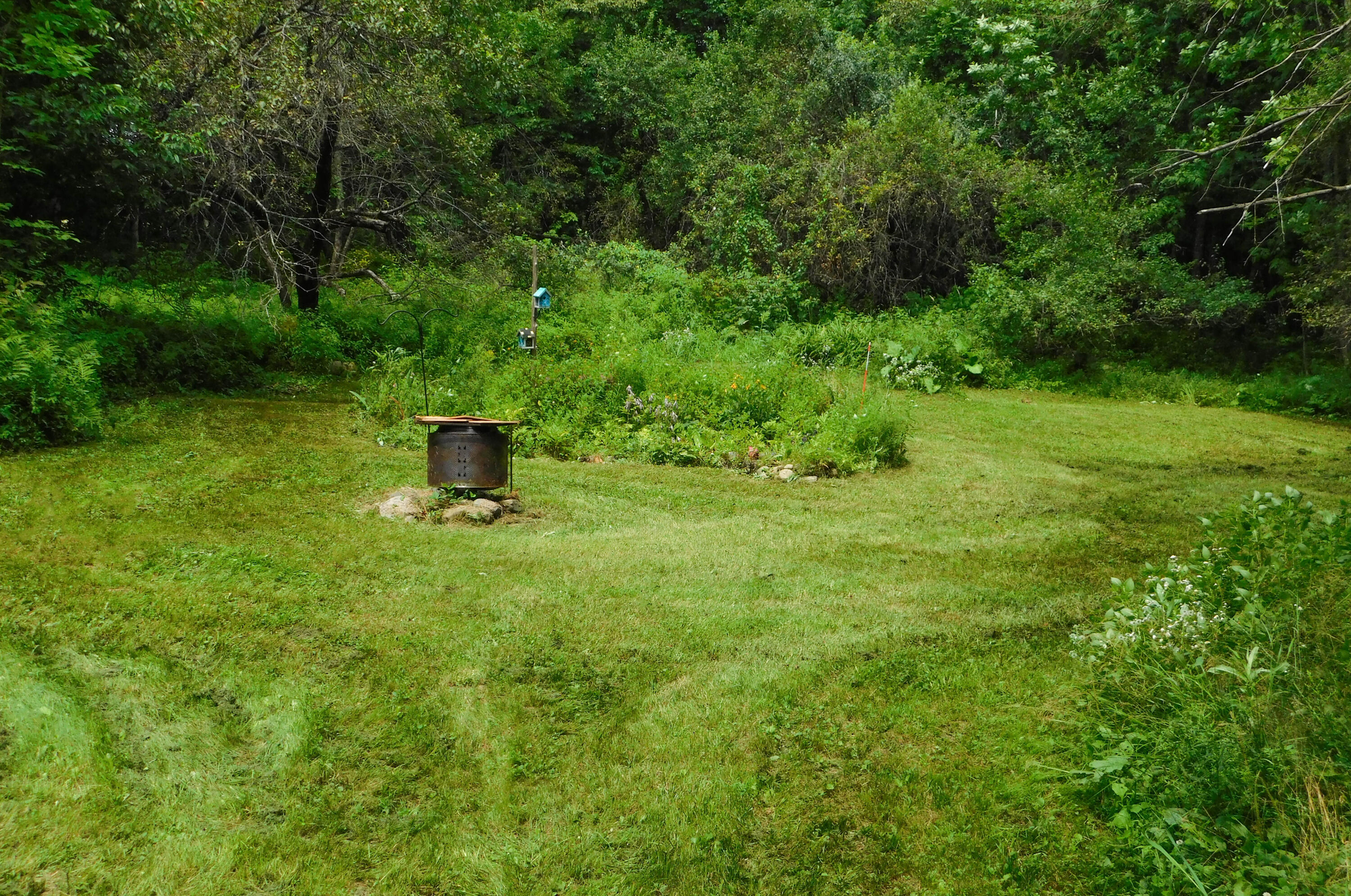 46 Cuddy Road Cambridge, ME 04923 - Photo 23 of 38 Yard