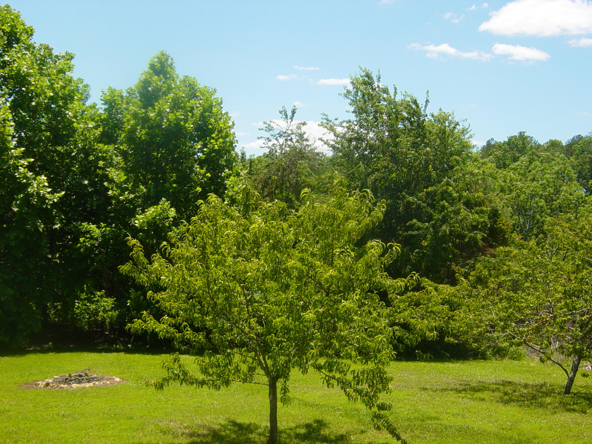 264 Talley Road Whitwell, TN 37397 - Photo 13 of 16 DSC00047