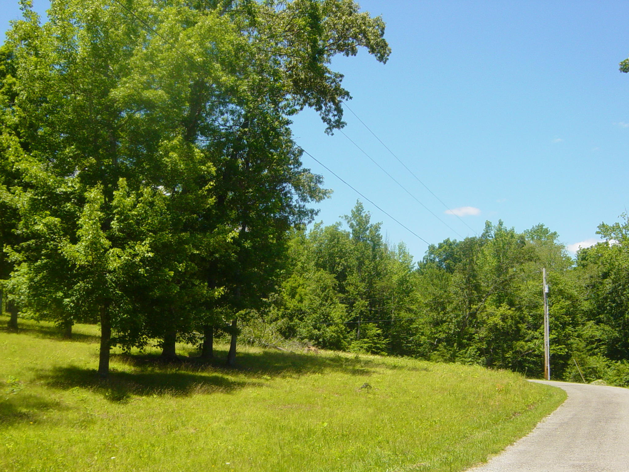 264 Talley Road Whitwell, TN 37397 - Photo 14 of 16 DSC00050
