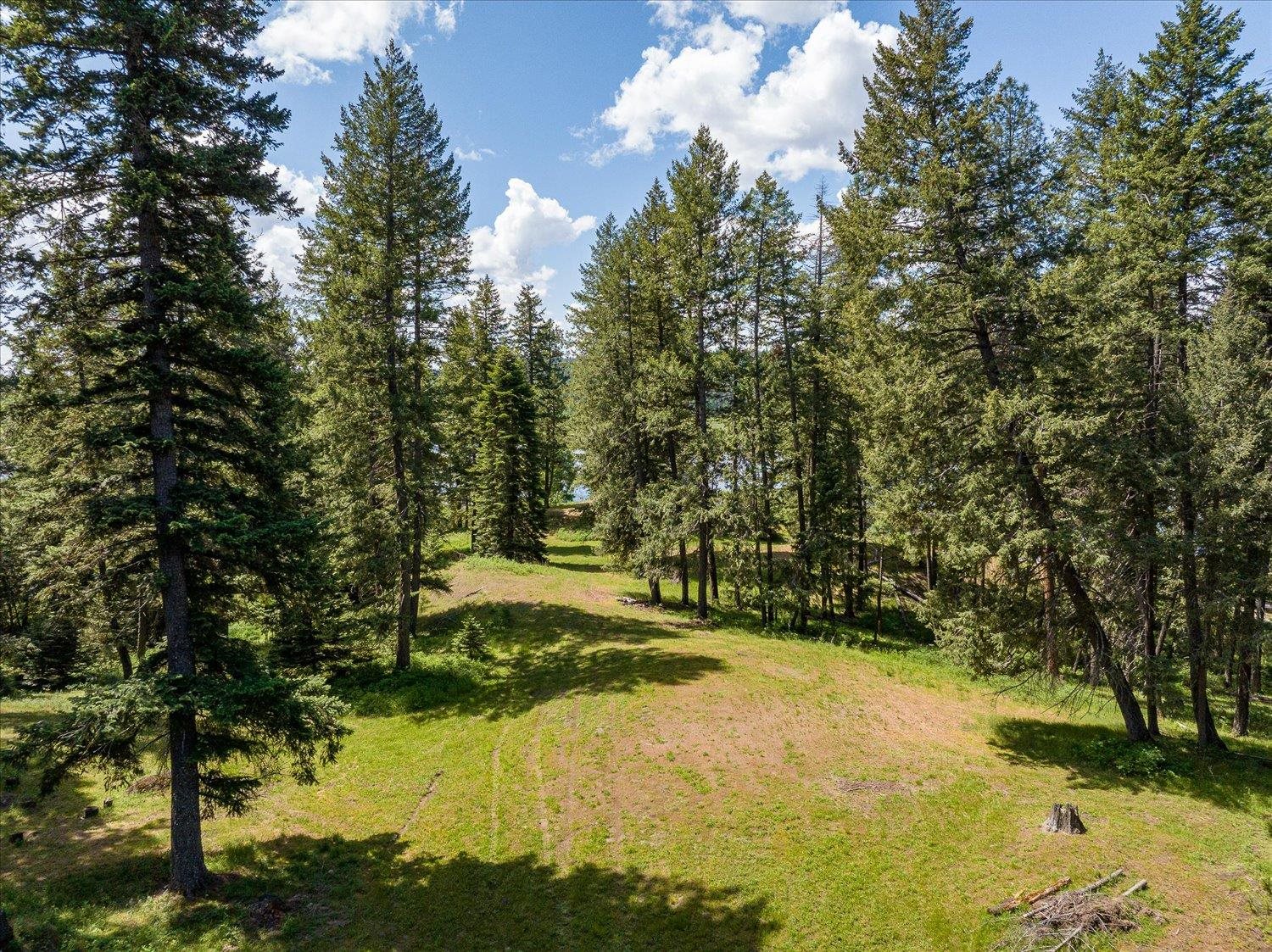 3408 East Bridges Road Elk, WA 99009 - Photo 41 of 50 Gallery Image 41