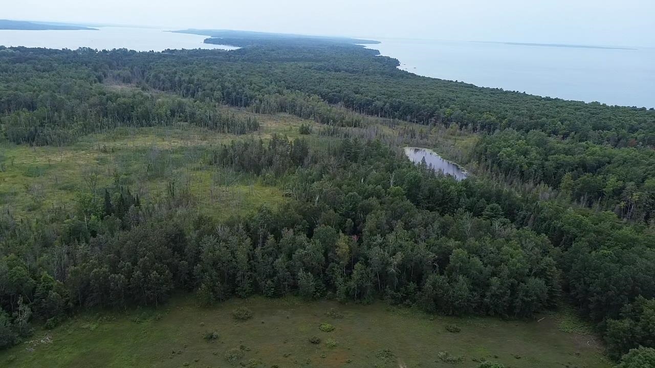 0 Lore Road Ellsworth, MI 49729 - Photo 1 of 15 1948813-e99f9f39-8574-4da8-ad43-1c4413b41e6a.JPG
