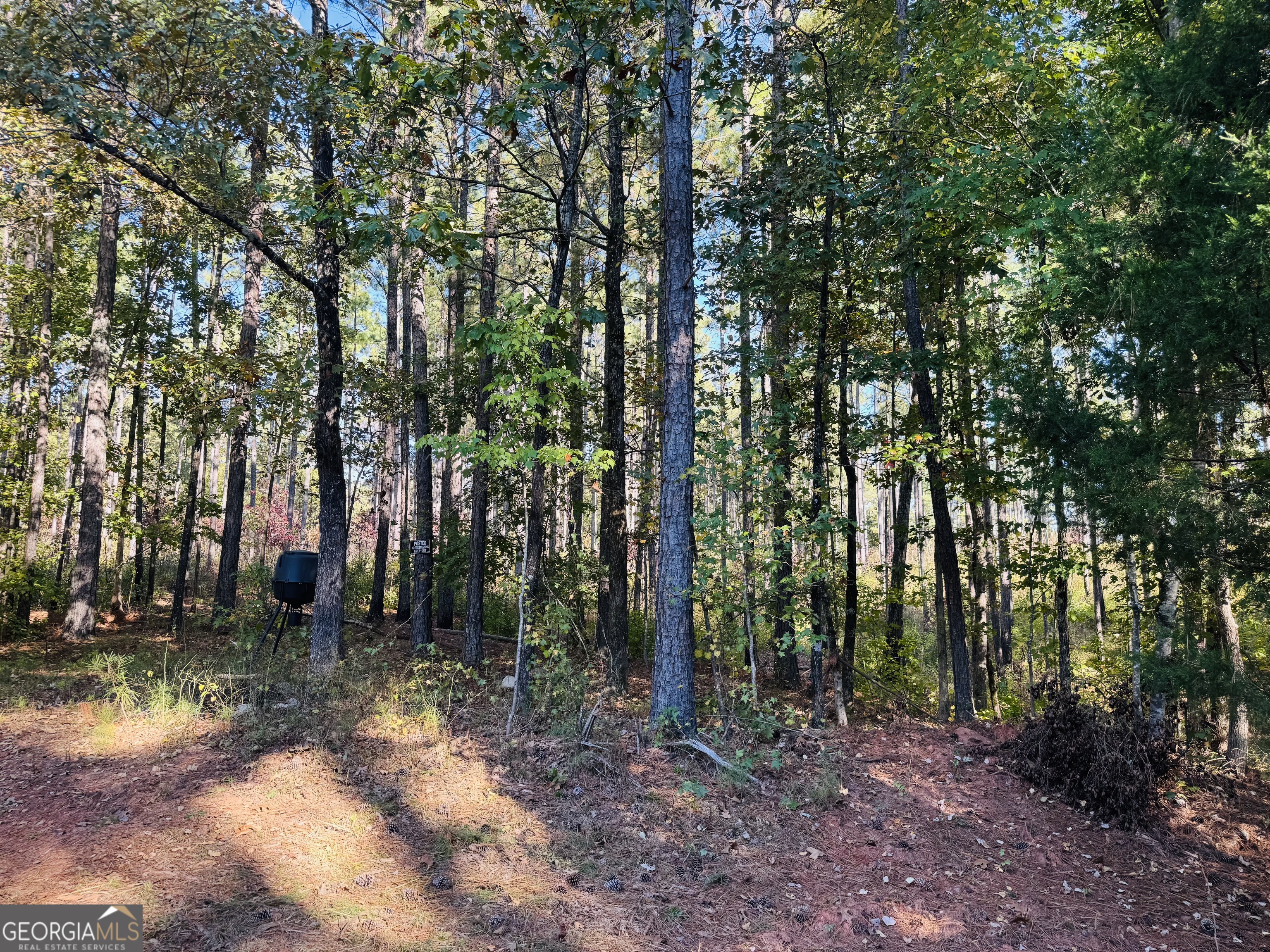 1516 Stark Road Jackson, GA 30233 - Photo 32 of 37 a view of a forest with trees