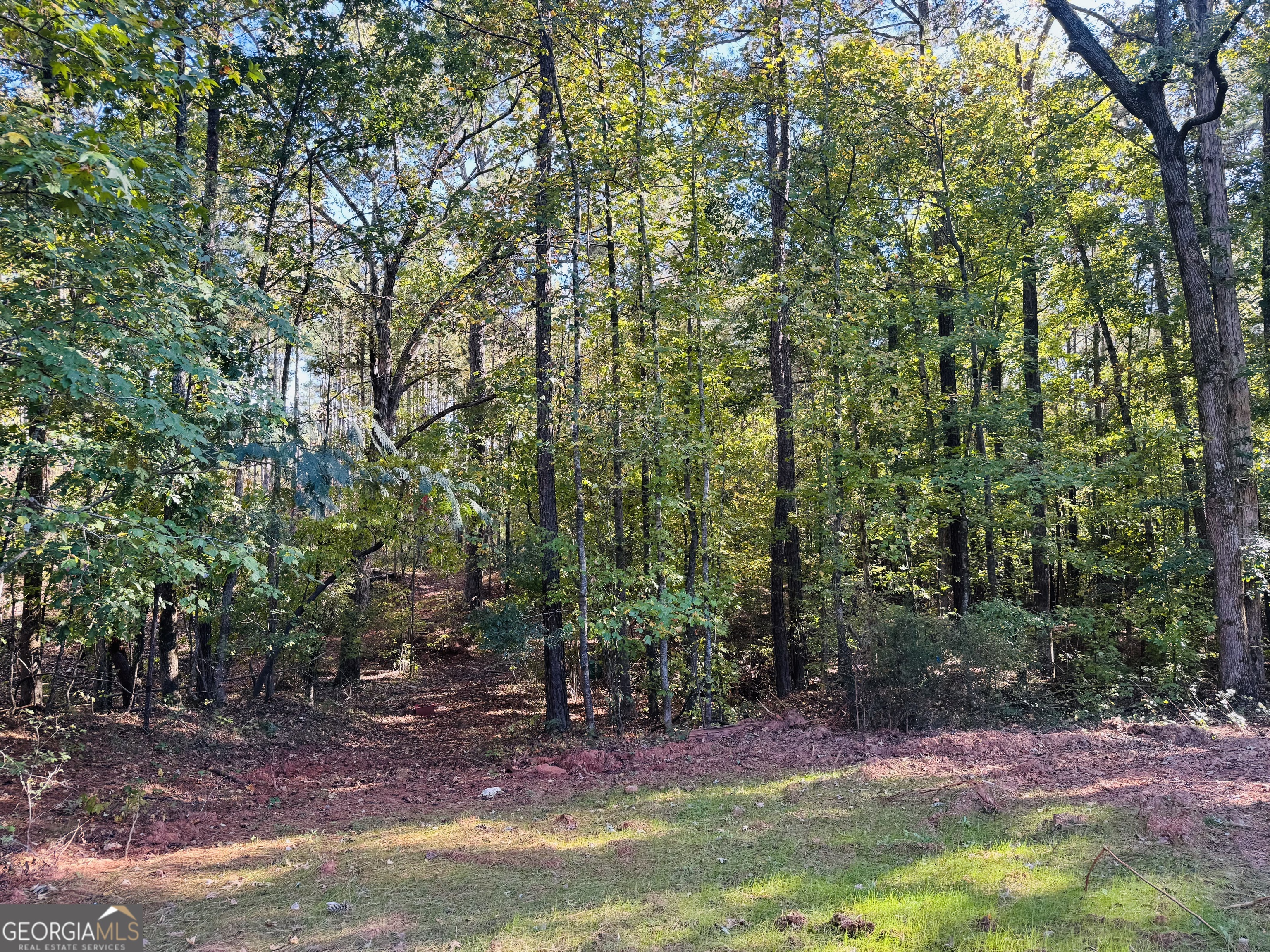 1516 Stark Road Jackson, GA 30233 - Photo 33 of 37 a view of yard