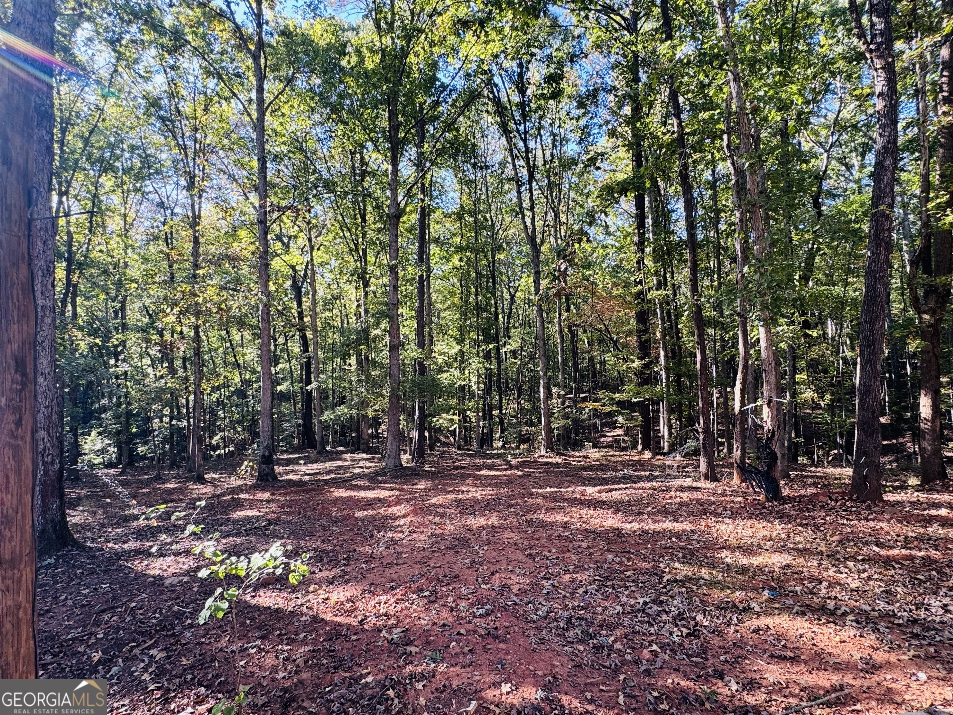 1516 Stark Road Jackson, GA 30233 - Photo 35 of 37 a backyard of a house with lots of green space