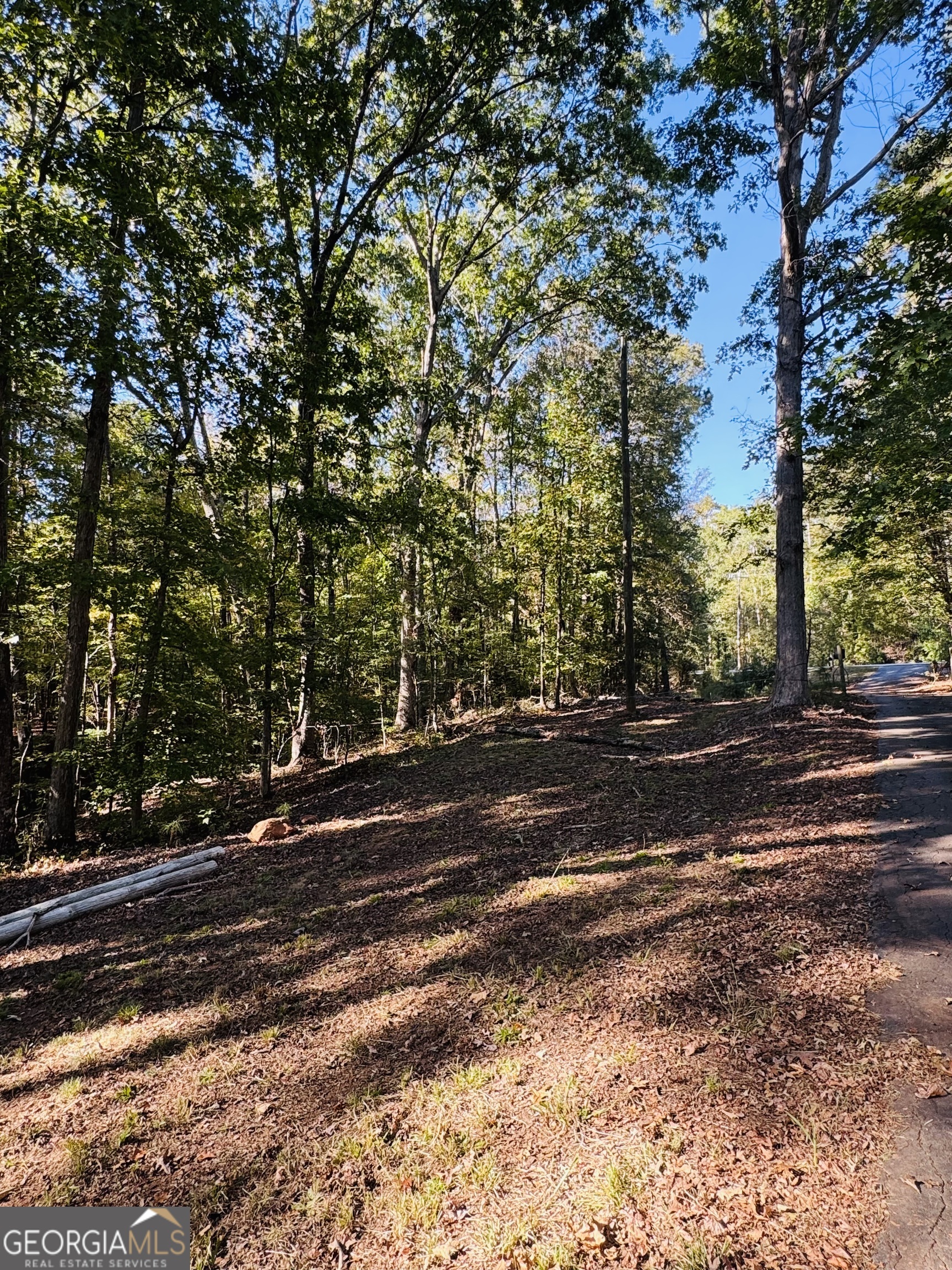 1516 Stark Road Jackson, GA 30233 - Photo 4 of 37 a view of street space
