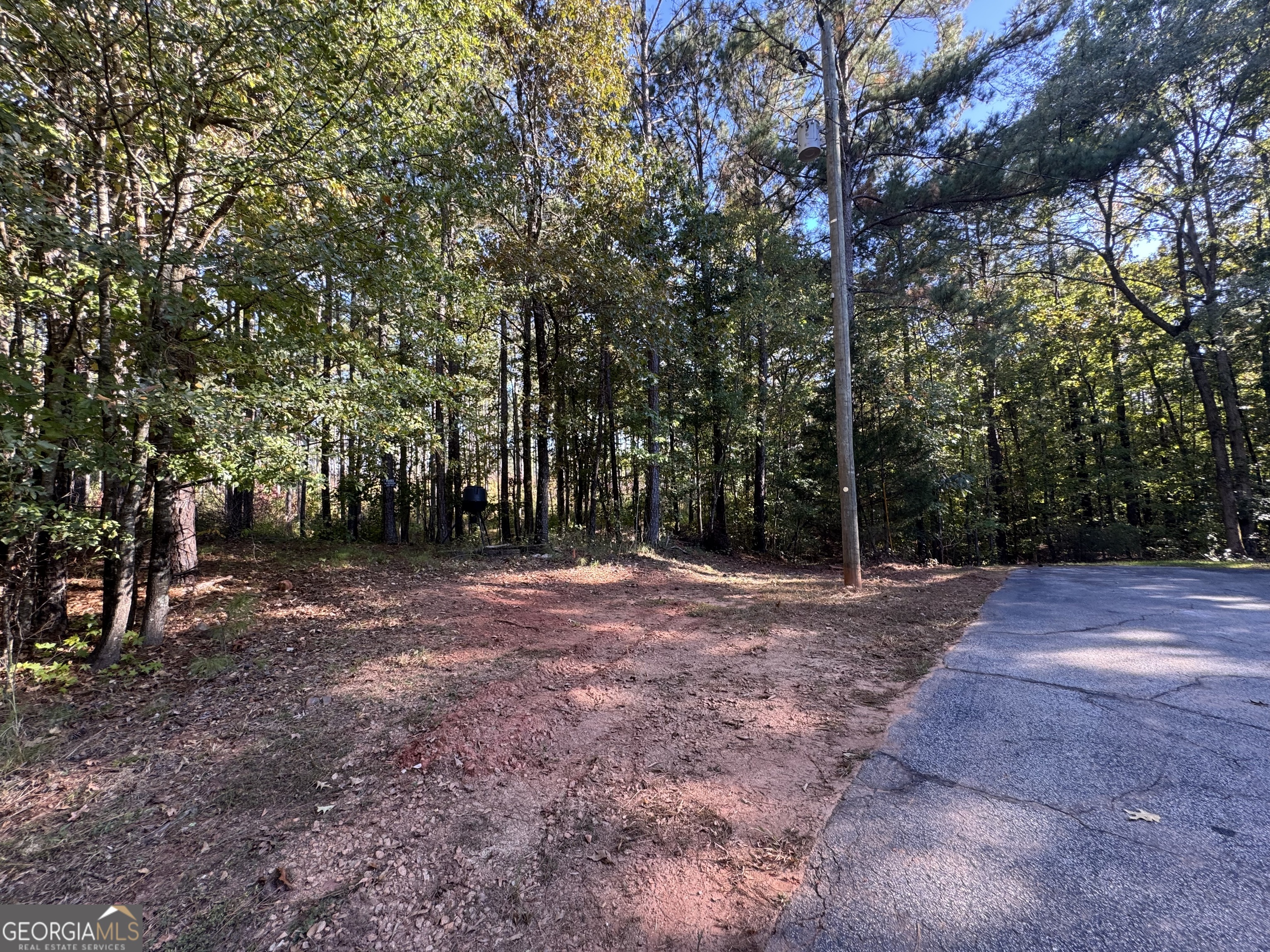 1516 Stark Road Jackson, GA 30233 - Photo 5 of 37 a view of outdoor space with trees