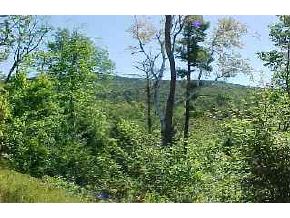 1724 Brook Road Goshen, NH 03752 - Photo 2 of 5