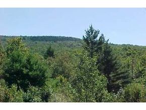 1724 Brook Road Goshen, NH 03752 - Photo 4 of 5