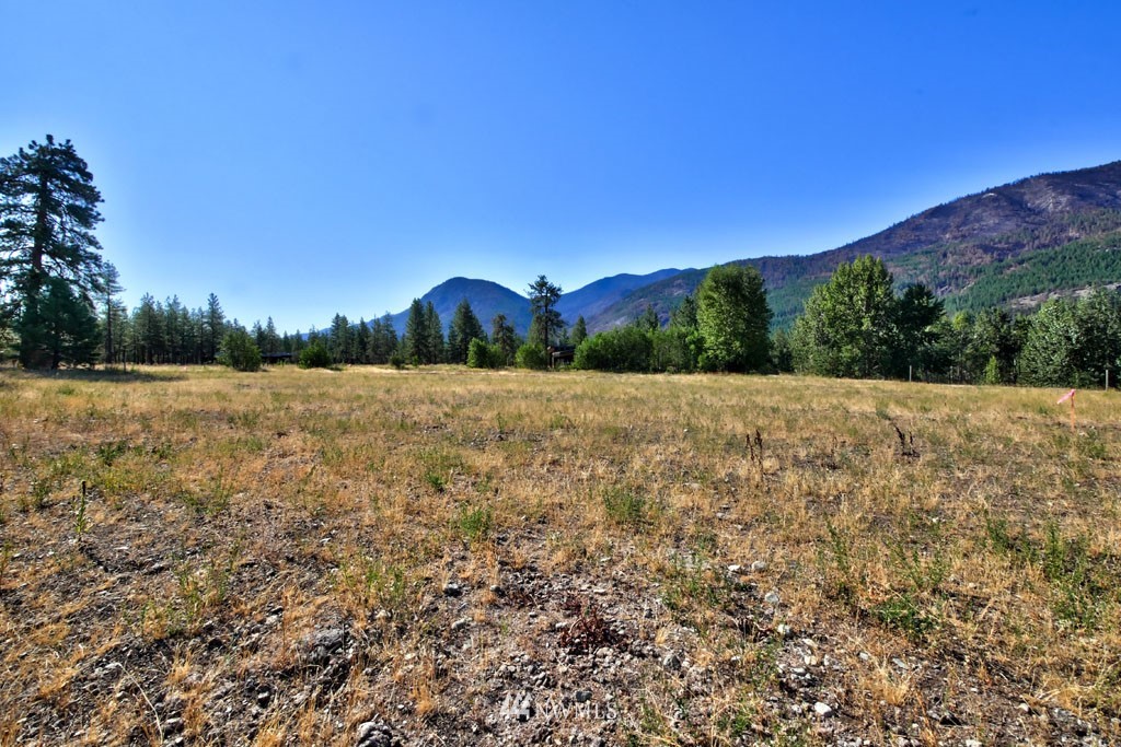 421 Goat Creek Road Winthrop, WA 98862 - Photo 9 of 40 Gallery Image 9