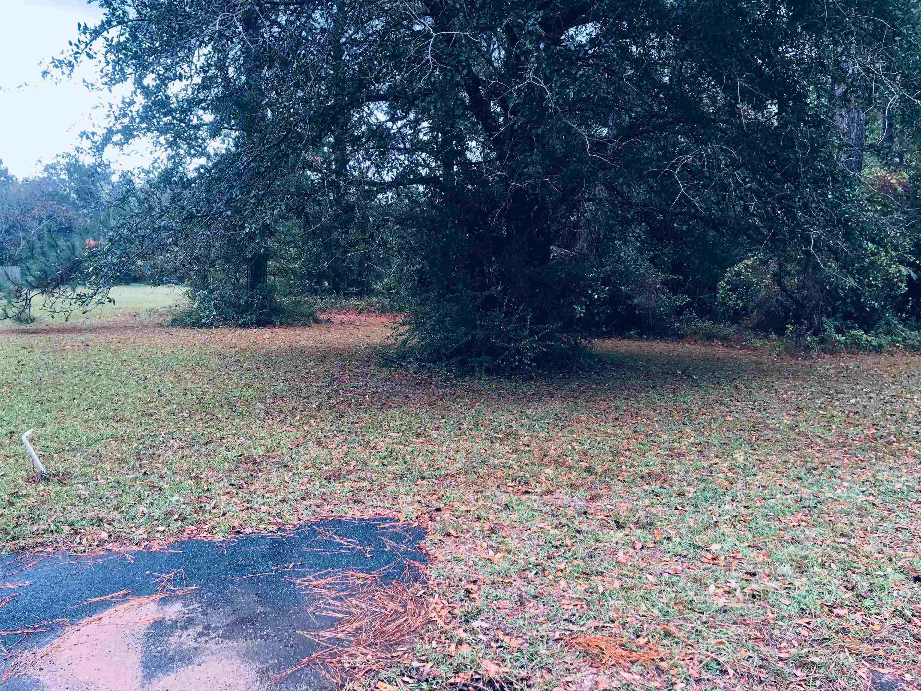 20950 Lacey Road Silverhill, AL 36576 - Photo 14 of 17