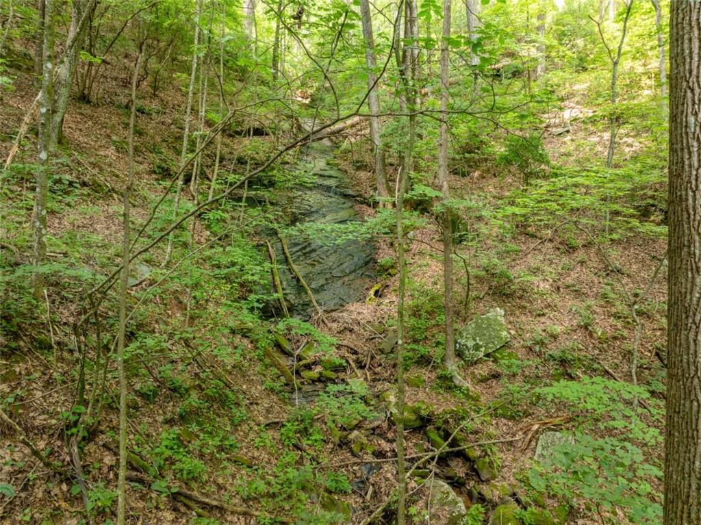 1298 Cold Stream Trail Jasper, GA 30143 - Photo 34 of 57
