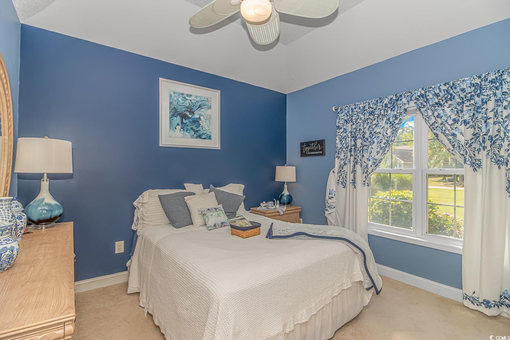 1160 Foxtail Drive Longs, SC 29568 - Photo 16 of 39