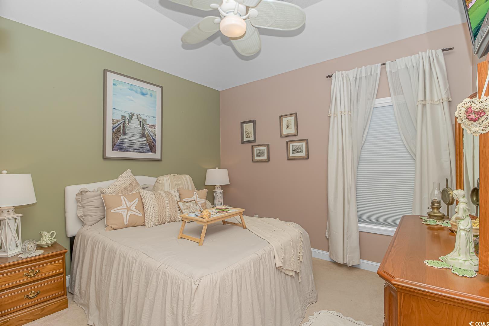 1160 Foxtail Drive Longs, SC 29568 - Photo 19 of 39