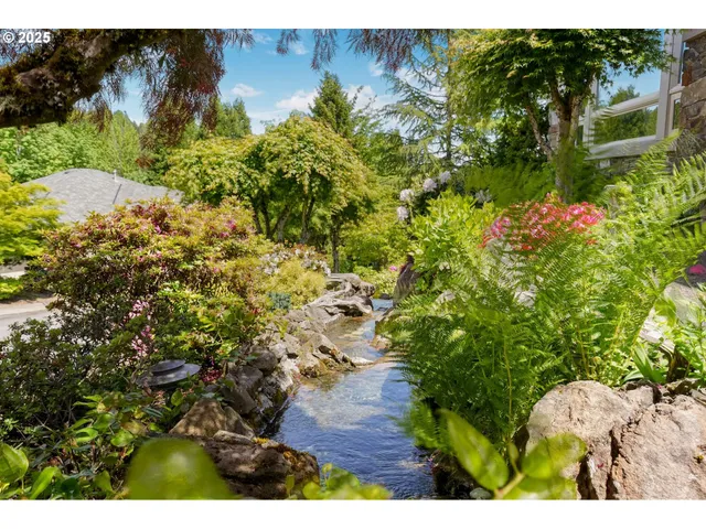 a view of a garden with plants and a bench