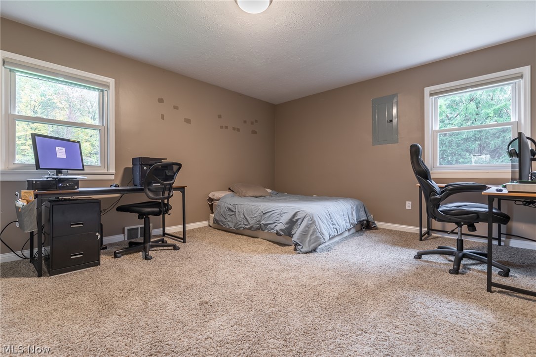 7313 Williams Road Painesville, OH 44077 - Photo 15 of 23 Gallery Image 15
