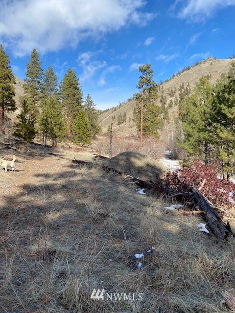 0 Navarre Coulee Road Chelan, WA 98816 - Photo 3 of 8 Gallery Image 3