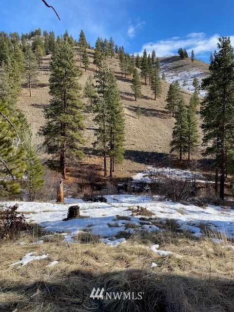0 Navarre Coulee Road Chelan, WA 98816 - Photo 5 of 8 Gallery Image 5