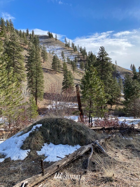 0 Navarre Coulee Road Chelan, WA 98816 - Photo 8 of 8 Gallery Image 8