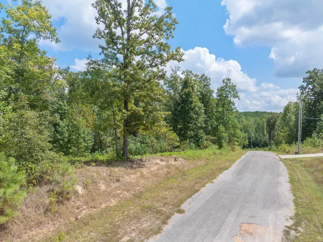 $17,500 | 0 Libby Circle, Lexington, TN 38351