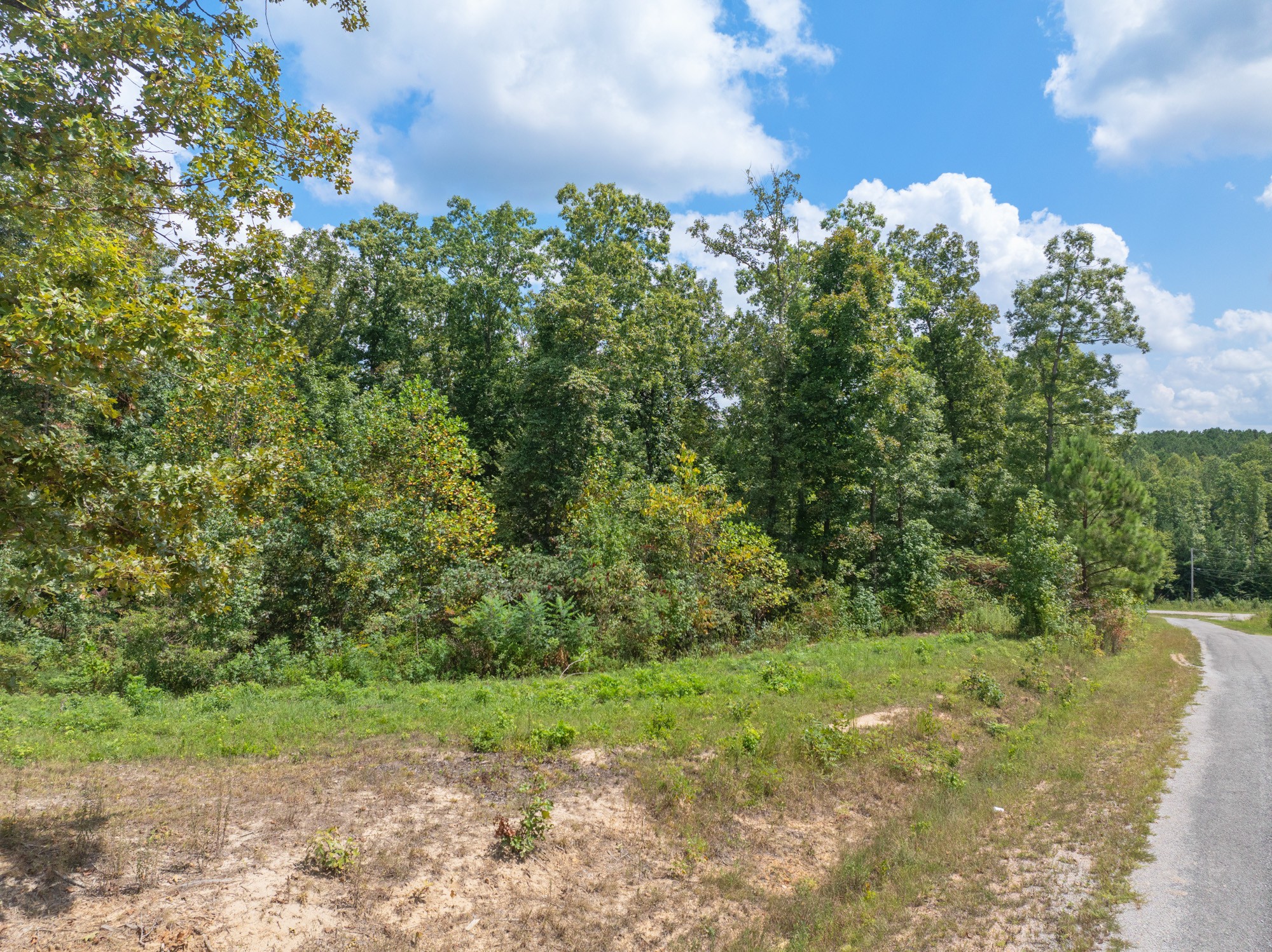 0 Libby Circle Lexington, TN 38351 - Photo 10 of 19