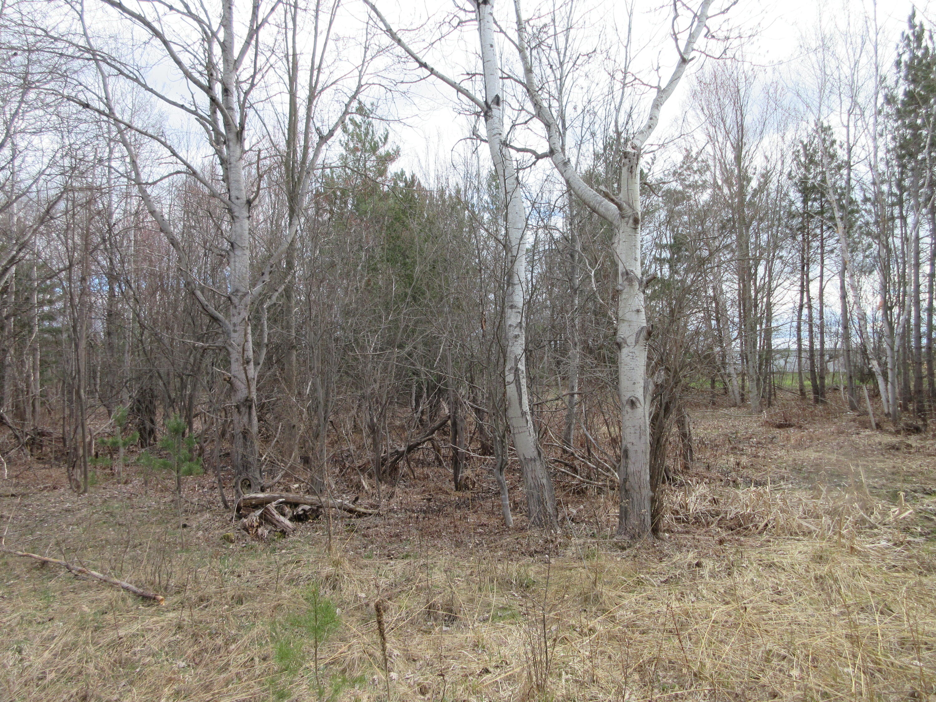 3671 Riggsville Road Cheboygan, MI 49721 - Photo 14 of 17 Gallery Image 14