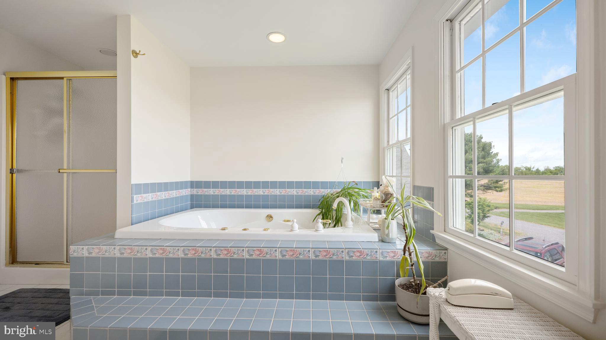16039 Partnership Road Poolesville, MD 20837 - Photo 52 of 97 Large Jacuzzi Soaking Tub in Primary Ensuite