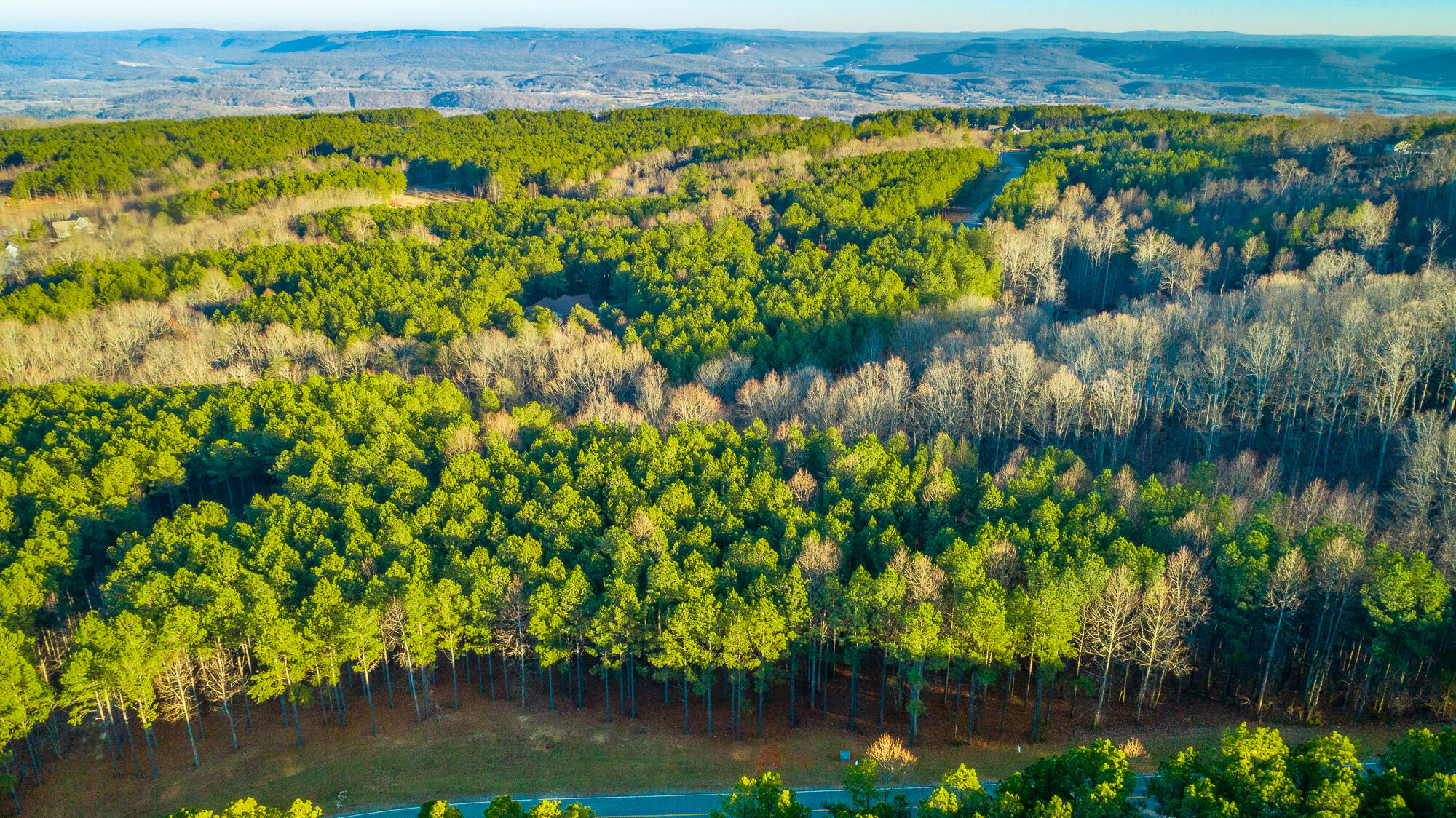 0 Compass Drive, Unit 227A Jasper, TN 37347 - Photo 16 of 49 Compass Drive Lot 227A HD-39