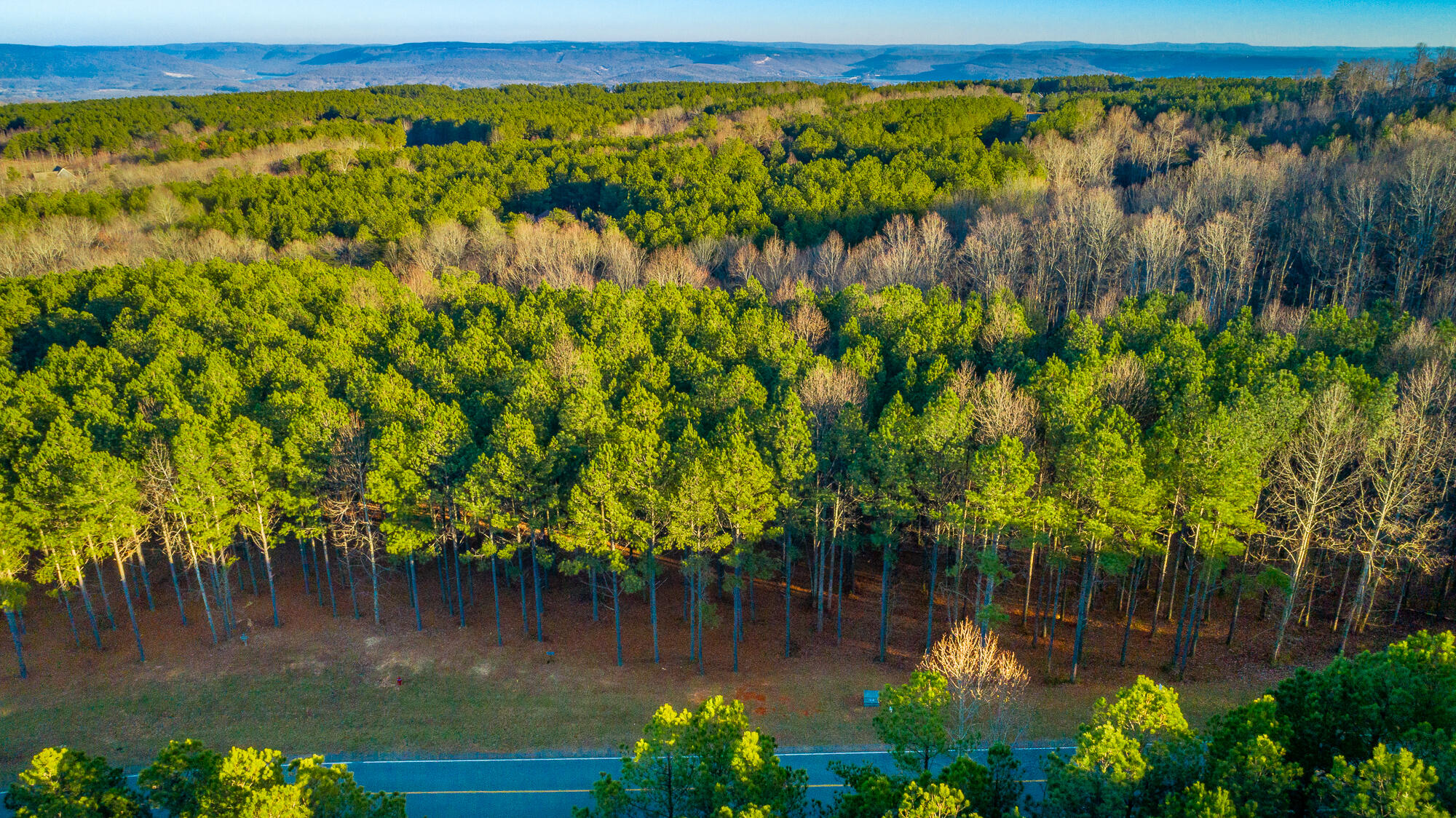 0 Compass Drive, Unit 227A Jasper, TN 37347 - Photo 19 of 49 Compass Drive Lot 227A HD-34