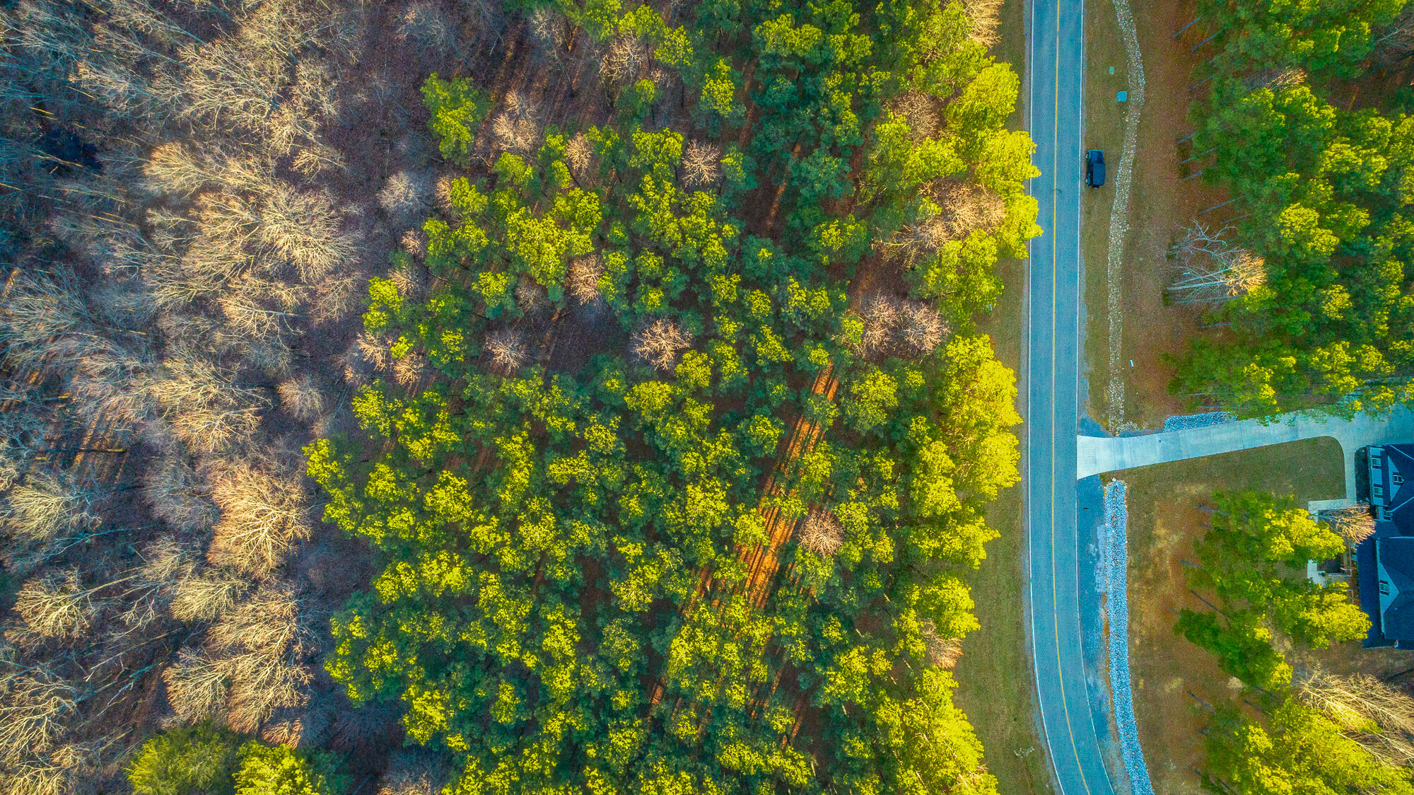 0 Compass Drive, Unit 227A Jasper, TN 37347 - Photo 25 of 49 Compass Drive Lot 227A HD-20