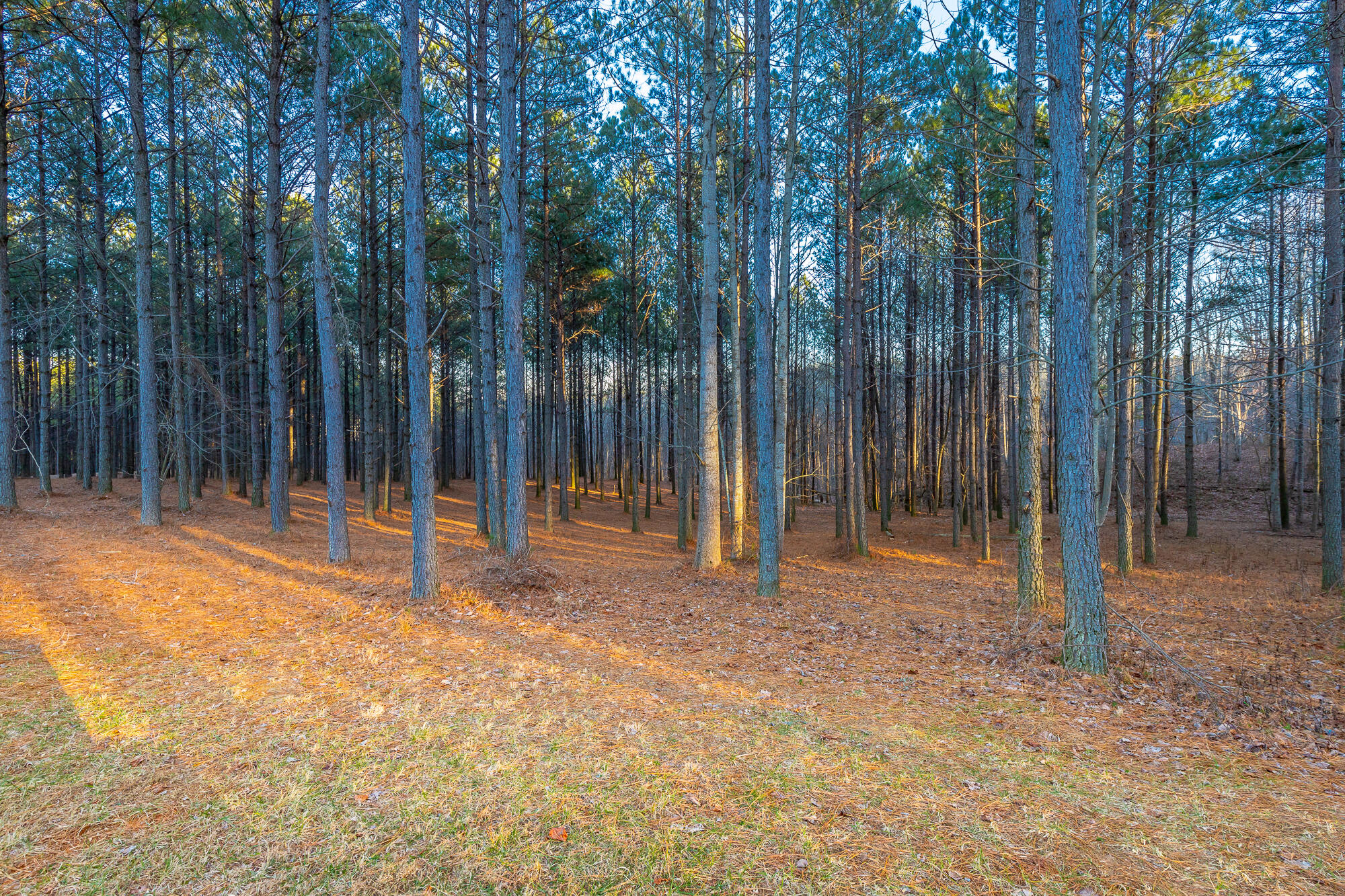 0 Compass Drive, Unit 227A Jasper, TN 37347 - Photo 4 of 49 Compass Drive Lot 227A HD-15