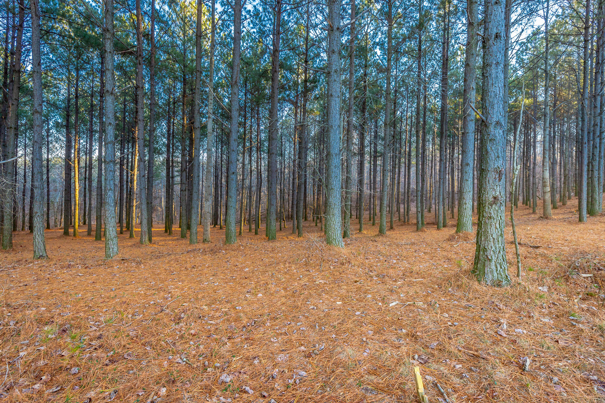 0 Compass Drive, Unit 227A Jasper, TN 37347 - Photo 6 of 49 Compass Drive Lot 227A HD-13