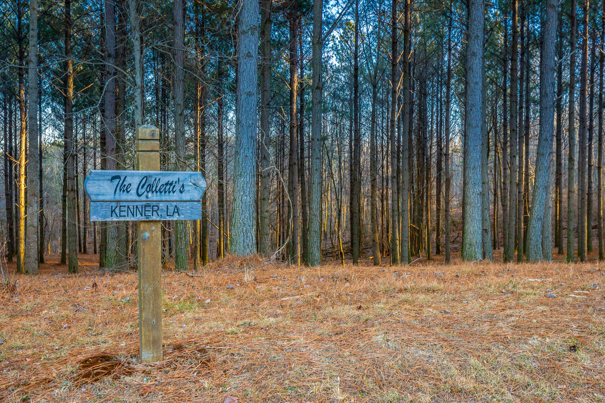 0 Compass Drive, Unit 227A Jasper, TN 37347 - Photo 10 of 49 Compass Drive Lot 227A HD-8