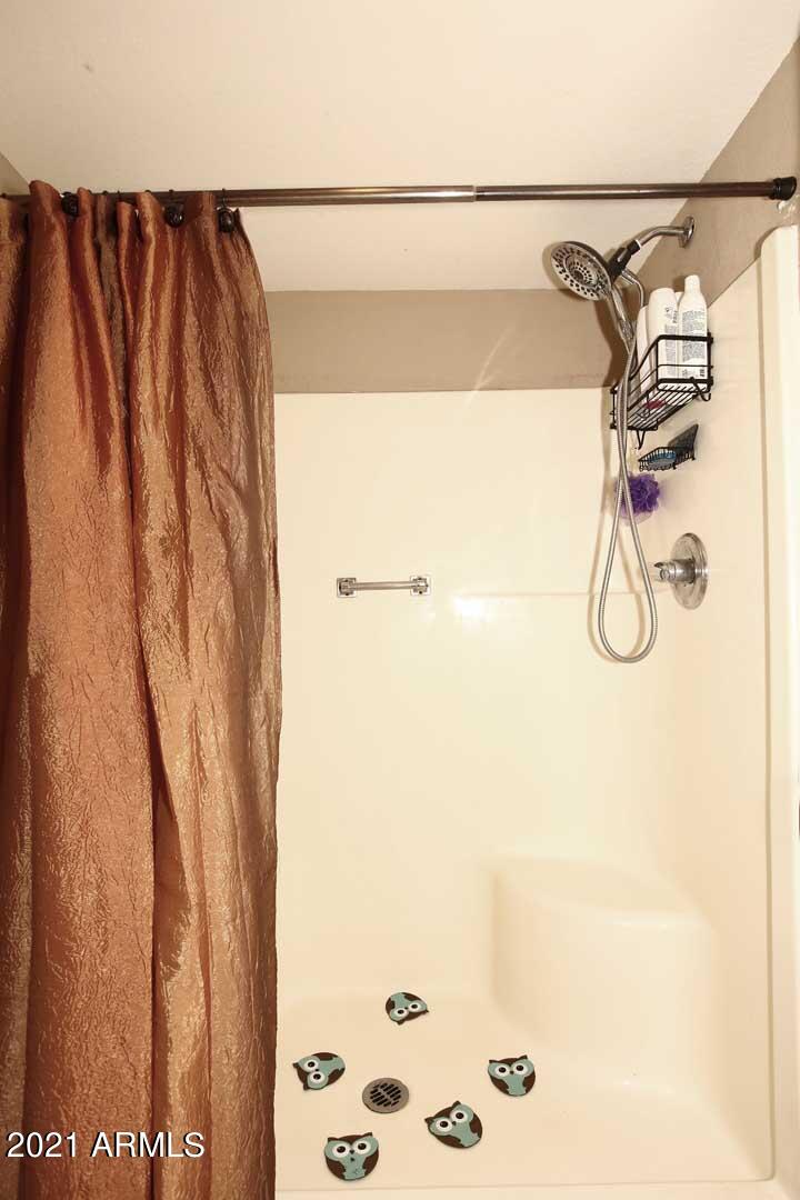 1734 East Grandview Road Phoenix, AZ 85022 - Photo 17 of 32 Master Bath-Shower (2)