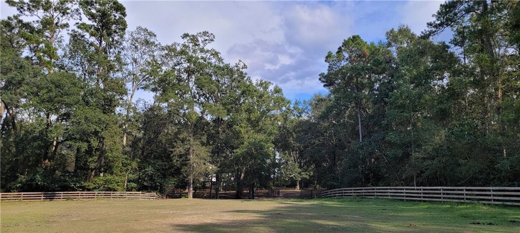 83335 North Factory Road Folsom, LA 70437 - Photo 31 of 33 Gallery Image 31
