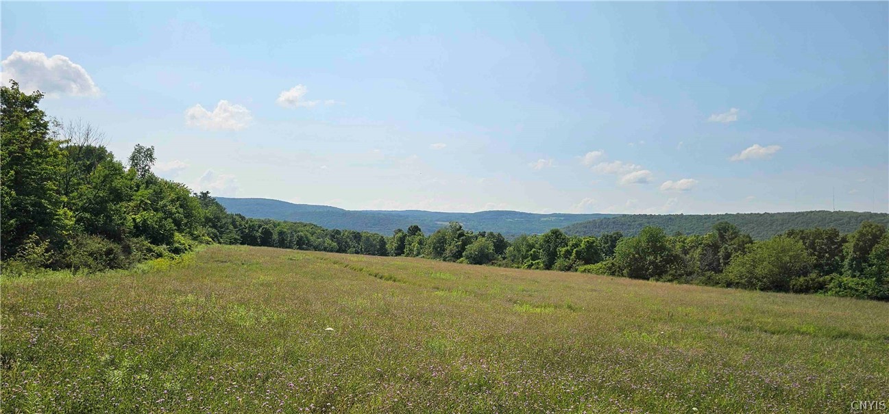 0 Benjamin Hill Road Newfield, NY 14867 - Photo 1 of 1 Gallery Image 1