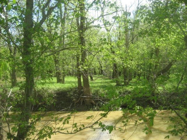 4158 Pinhook Road Mount Olivet, KY 41064 - Photo 28 of 35 Photo 28