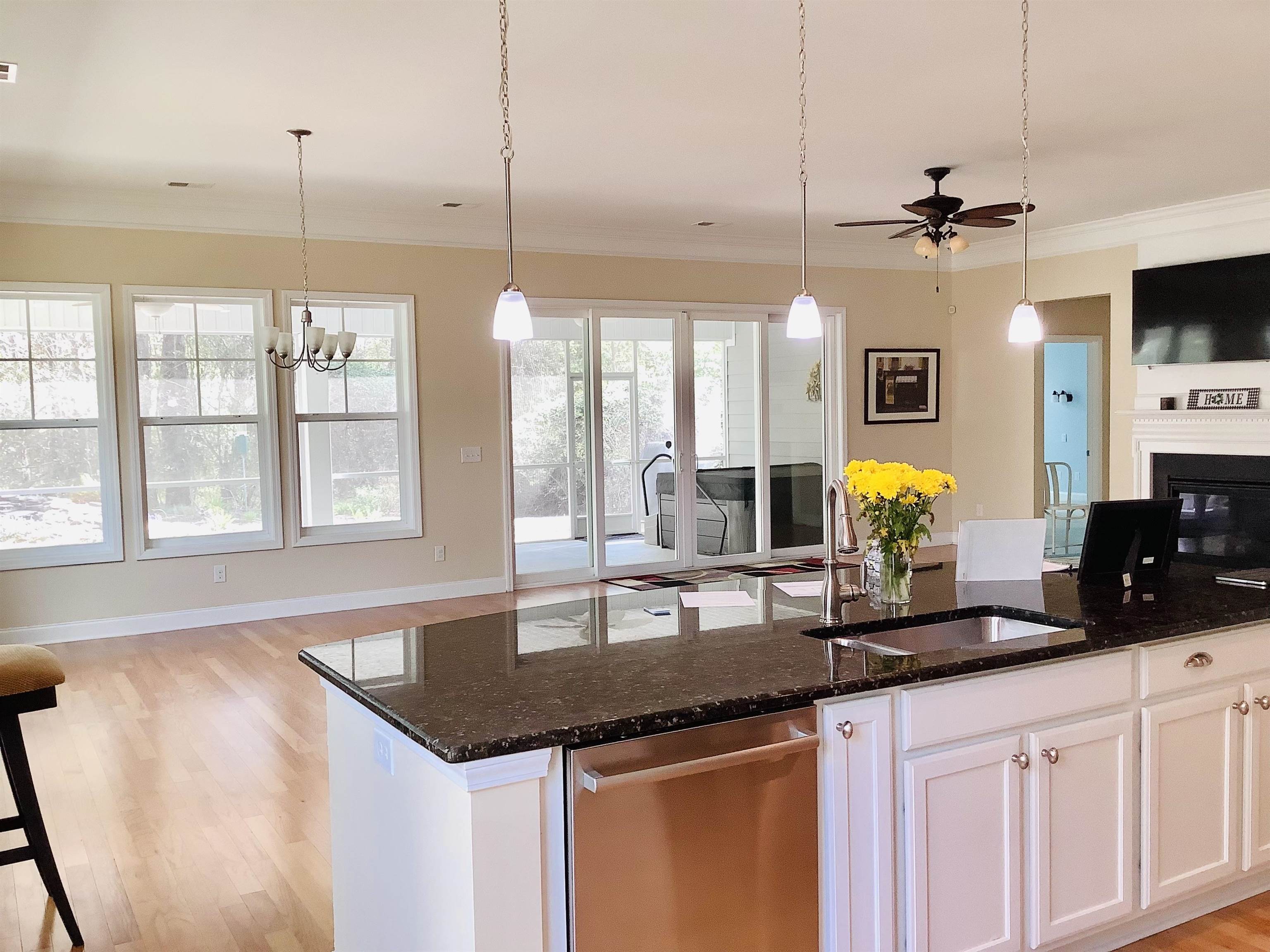 242 Hyacinth Loop Murrells Inlet, SC 29576 - Photo 15 of 44