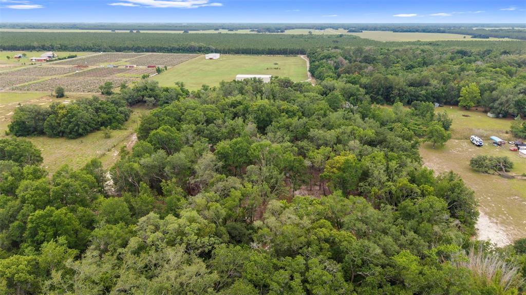 18330 Booming Road Spring Hill, FL 34610 - Photo 35 of 48
