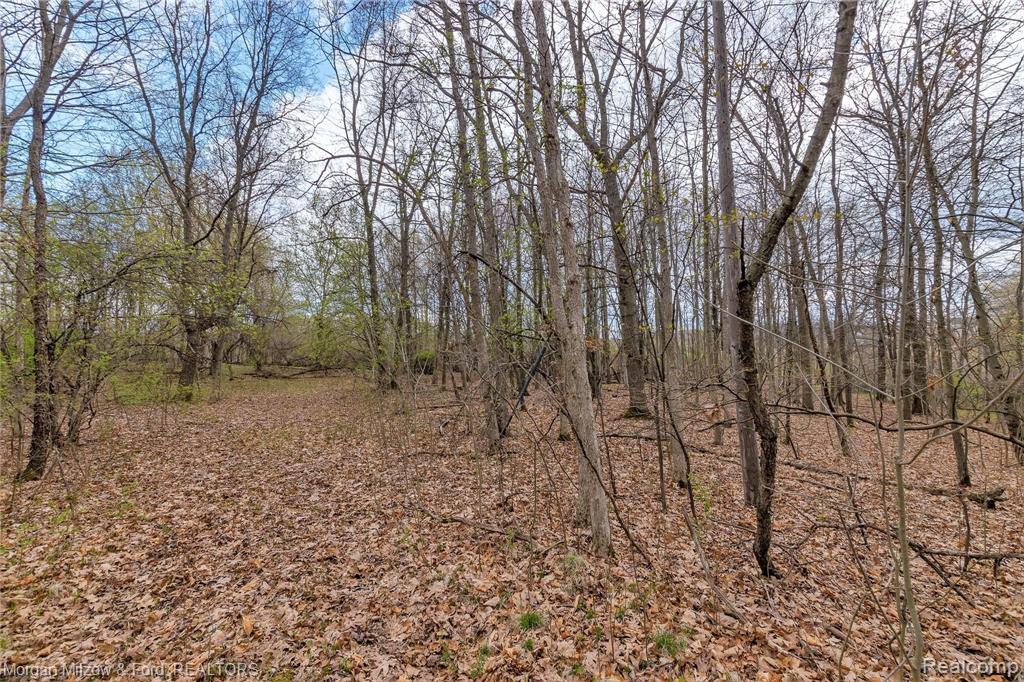 0 Kier Road Auburn Hills, MI 48326 - Photo 19 of 22