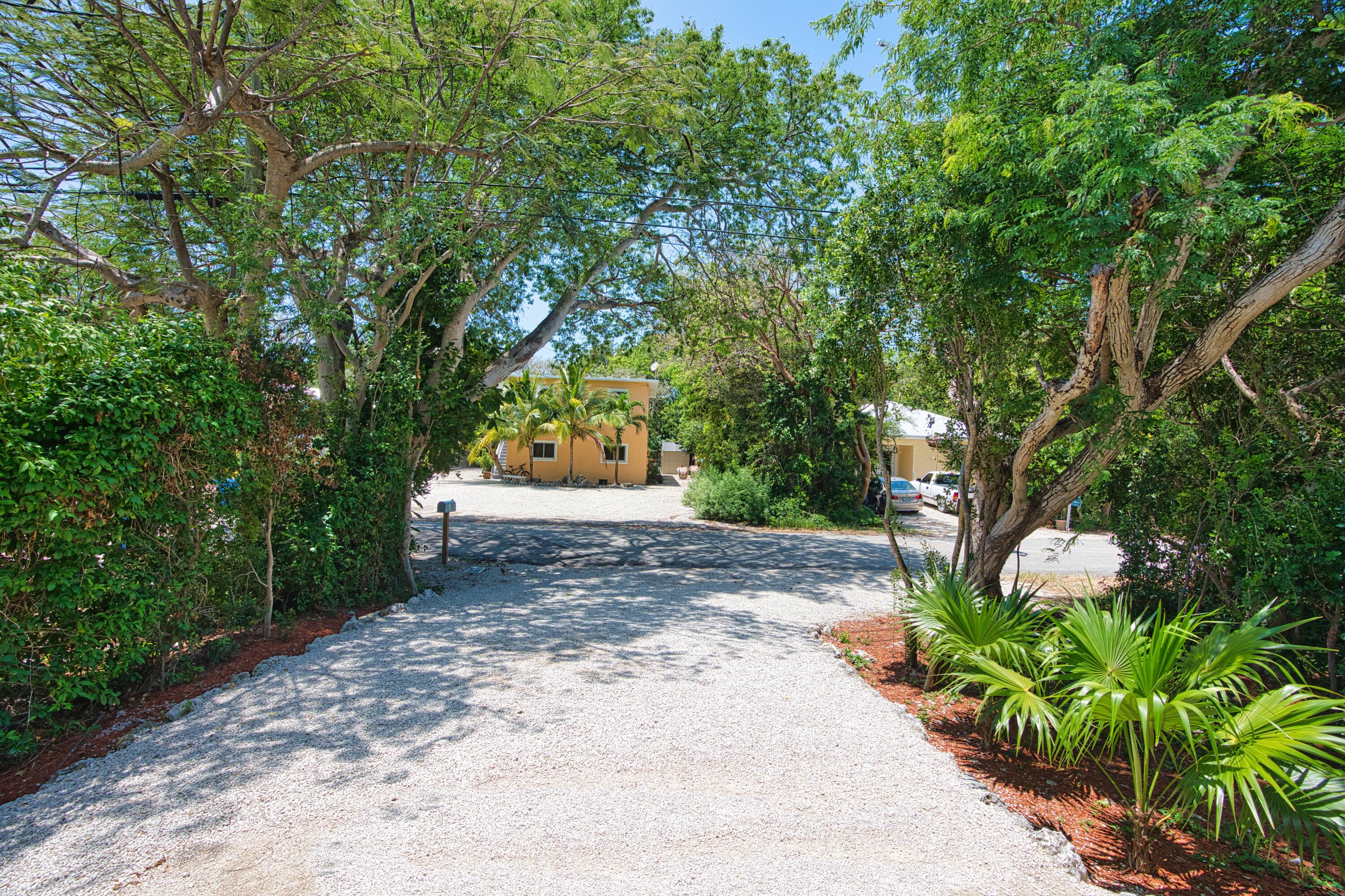 499 Beach Road Tavernier, FL 33070 - Photo 36 of 53 a view of a yard with plants and trees