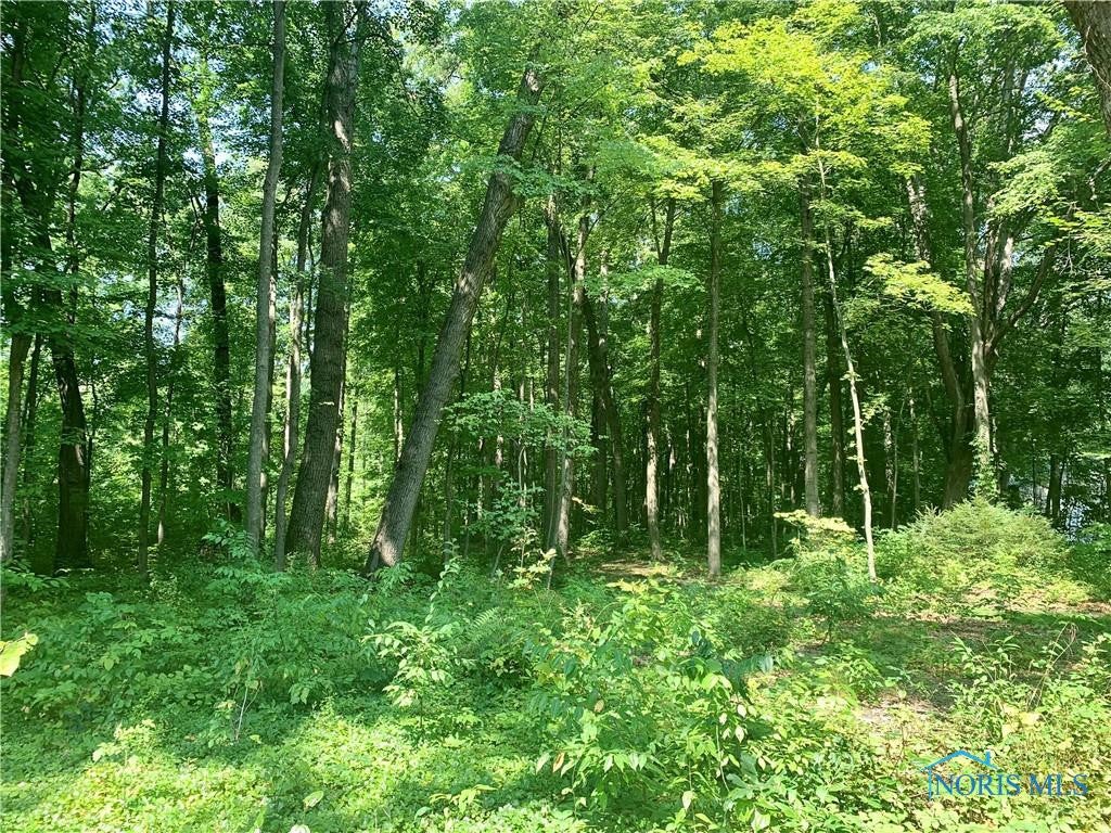14060 Reed Road Swanton, OH 43558 - Photo 16 of 50 Gallery Image 16