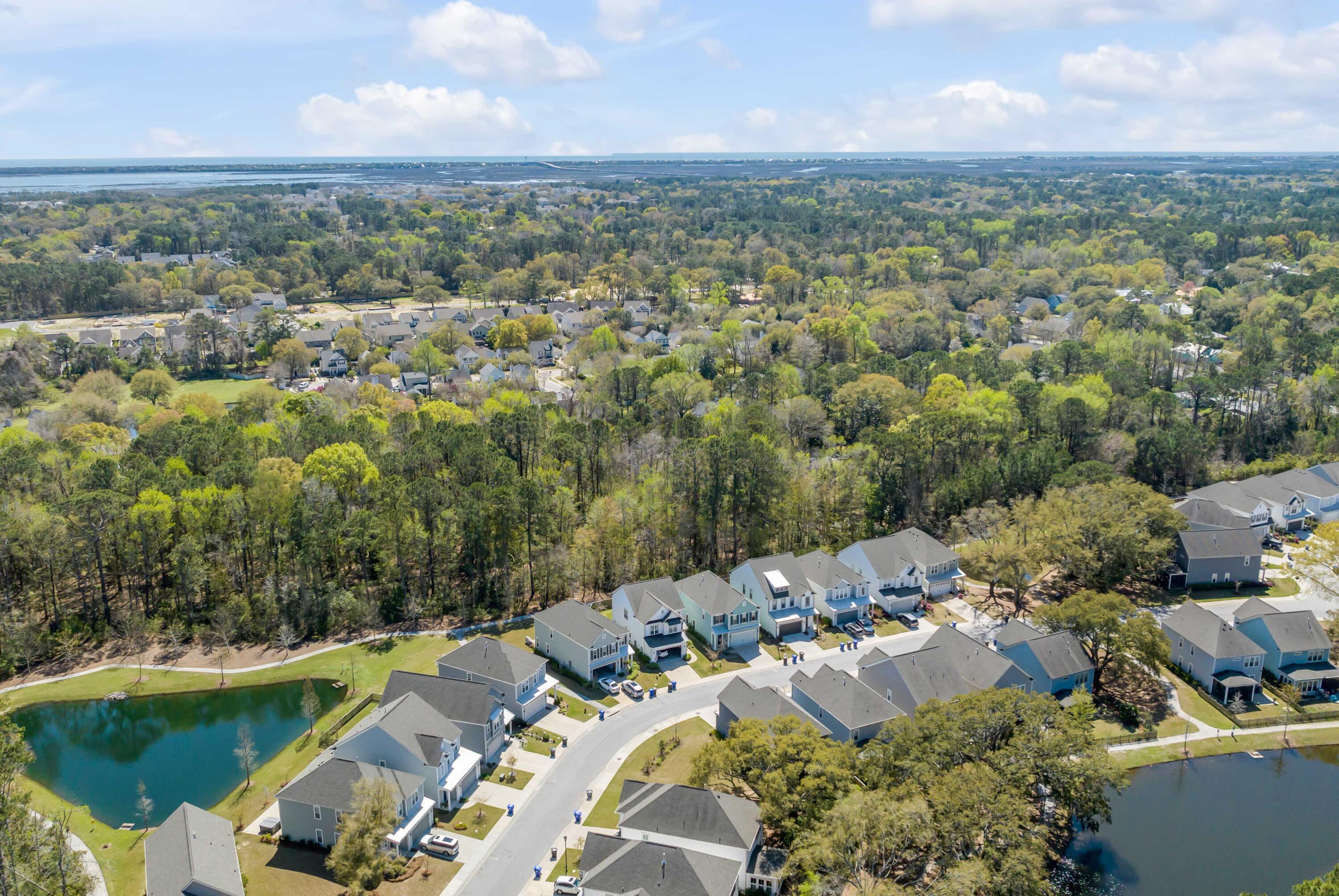2280 Primus Road Mount Pleasant, SC 29466 - Photo 45 of 48 DJI_0260