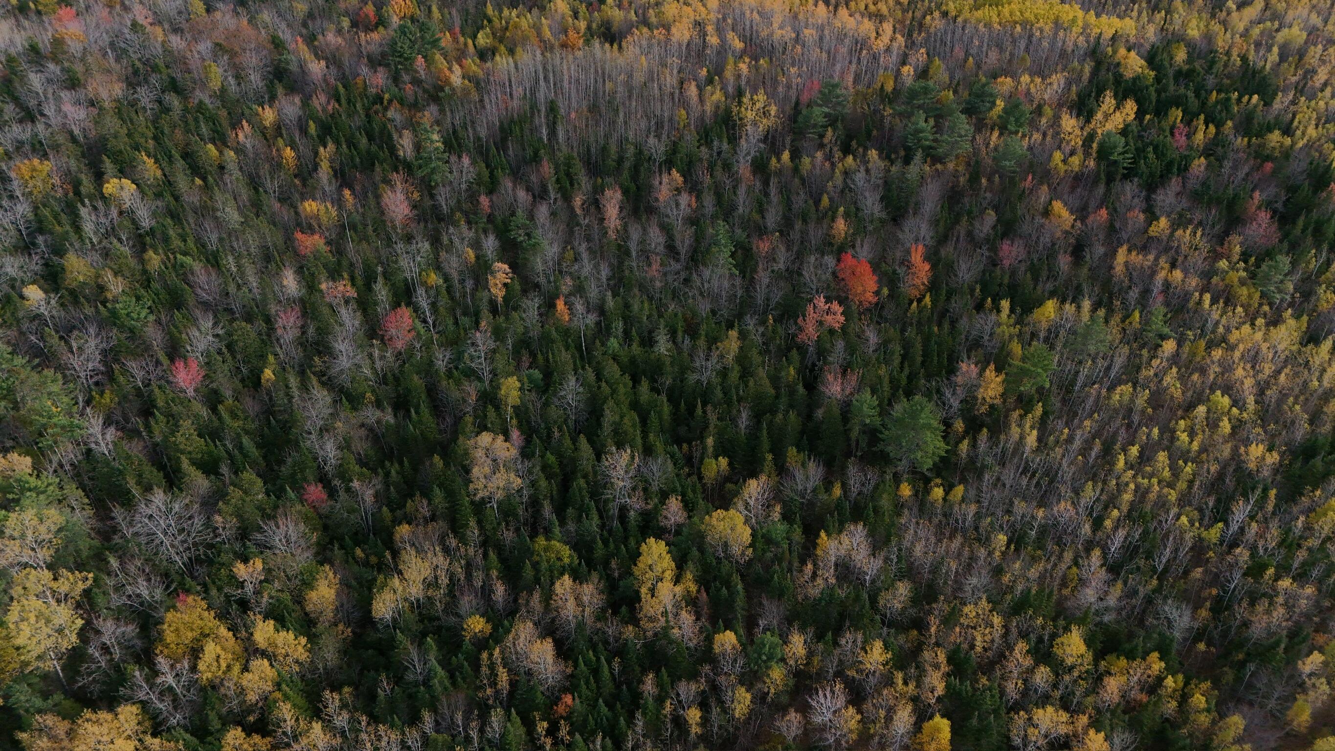 0 Babcock Road Newburgh, ME 04444 - Photo 33 of 52
