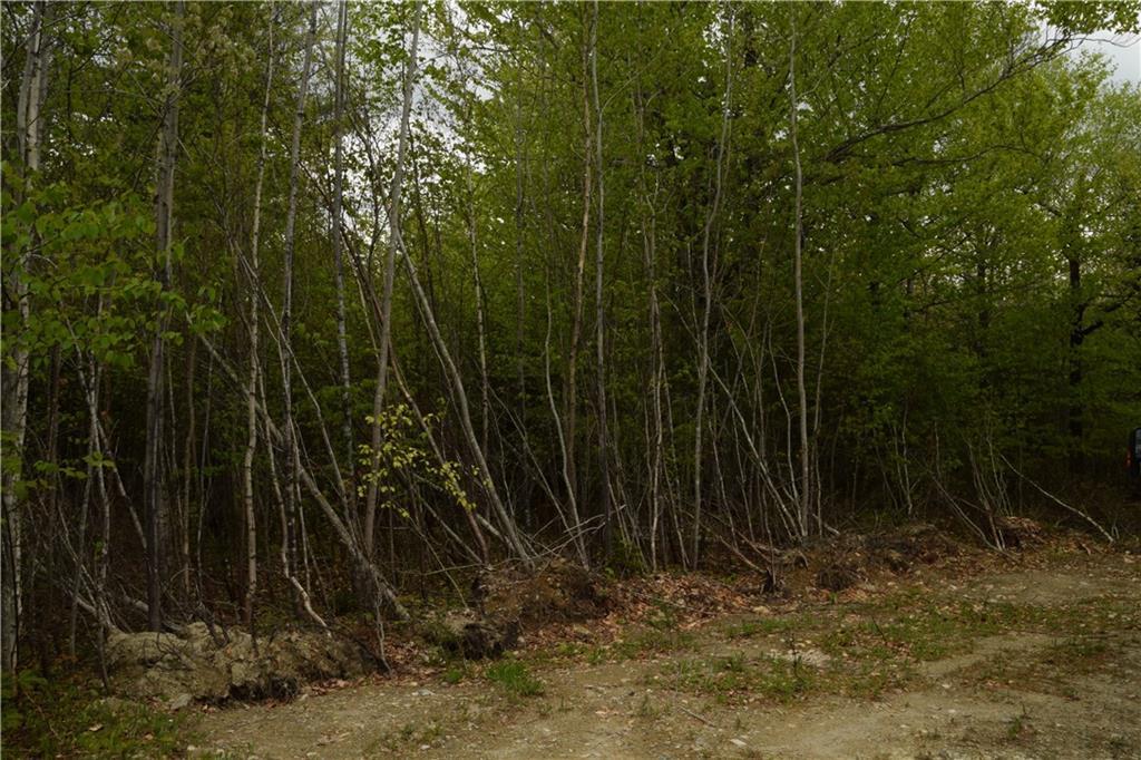 Lot 3 Row Road Burlington, ME 04417 - Photo 1 of 6 Country Home site
