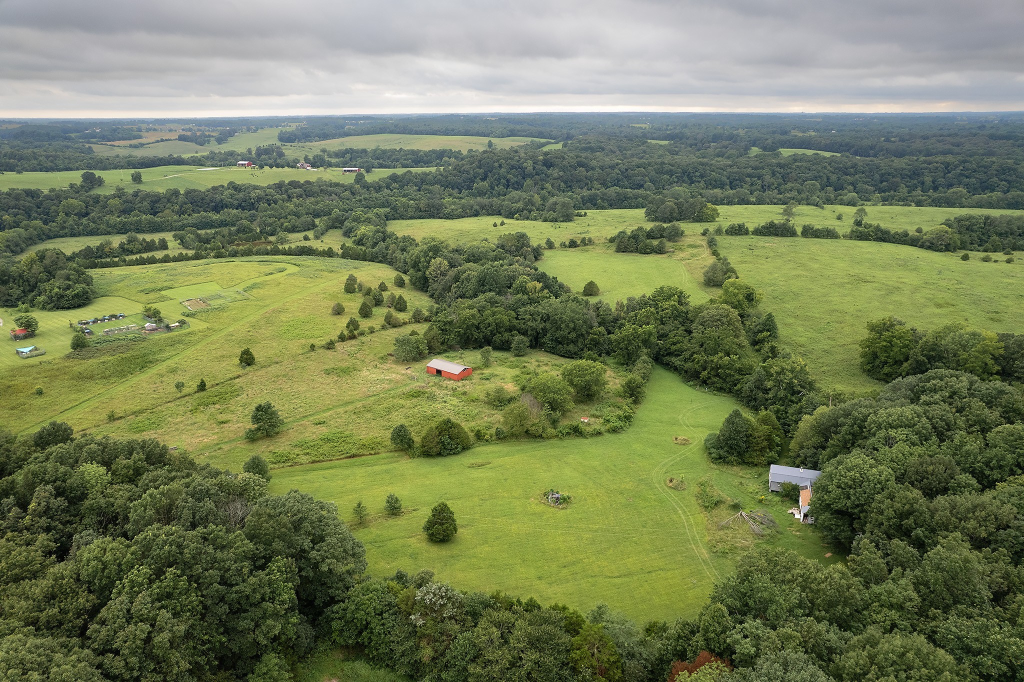 401 North Jones Road Portland, TN 37148 - Photo 1 of 25 a view of a lush green space with lots of trees in it