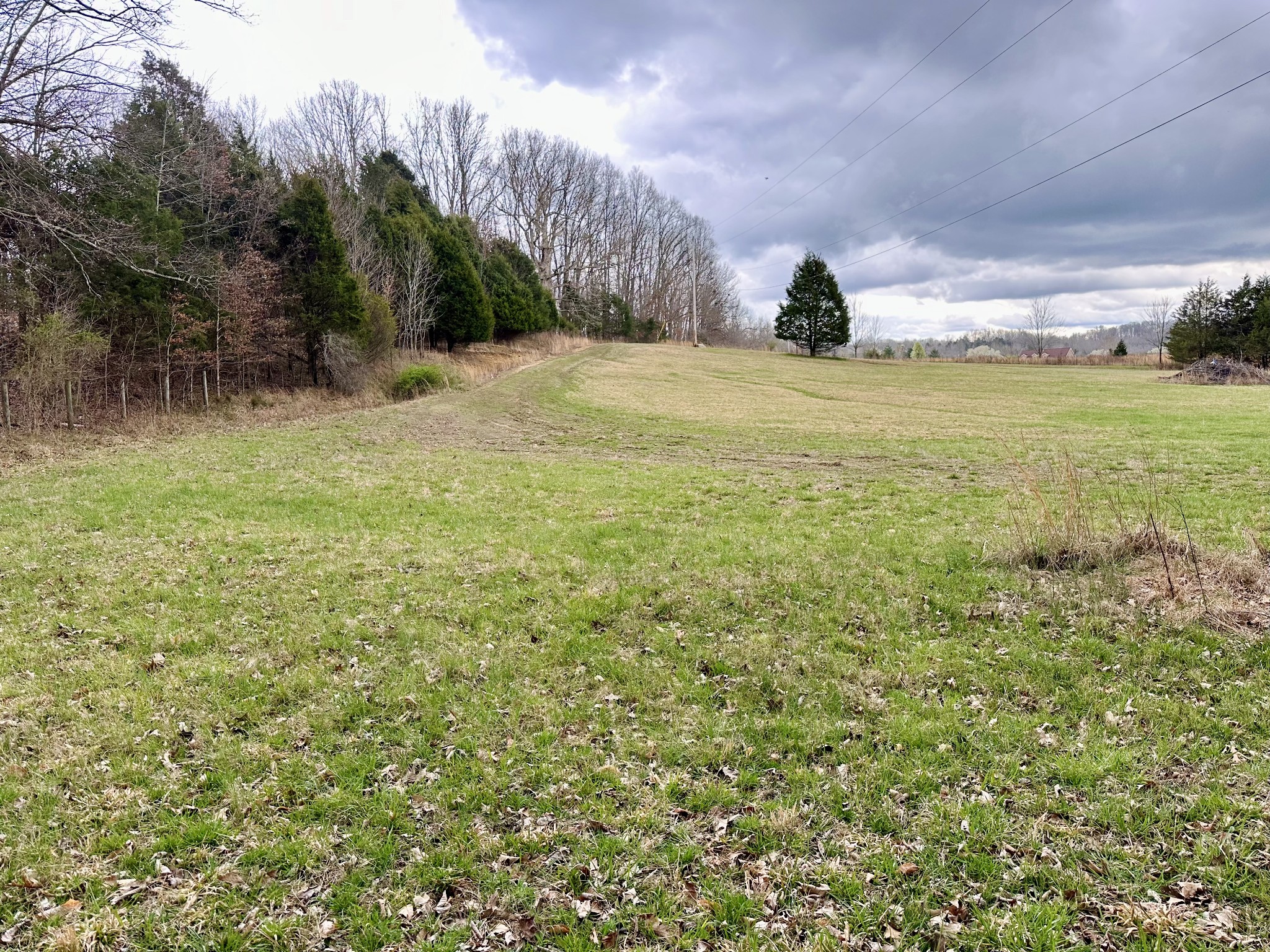 401 North Jones Road Portland, TN 37148 - Photo 13 of 25 a view of a field with an trees in front of it