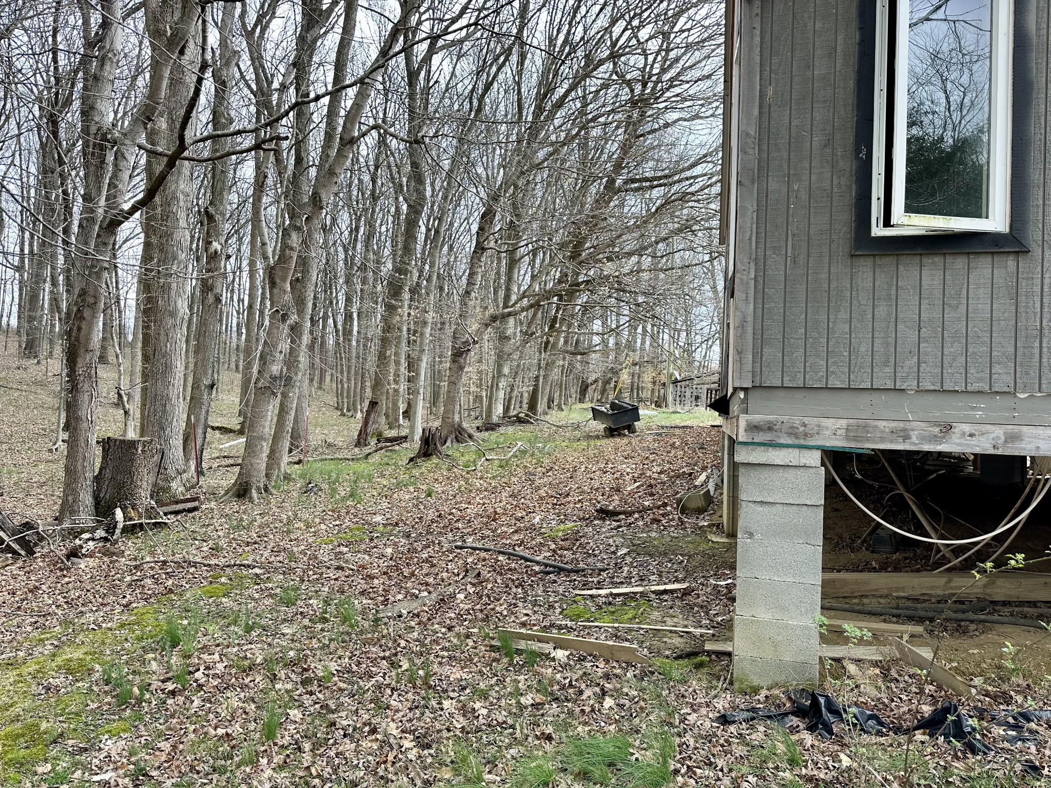 401 North Jones Road Portland, TN 37148 - Photo 14 of 25 a backyard of a house with barbeque oven