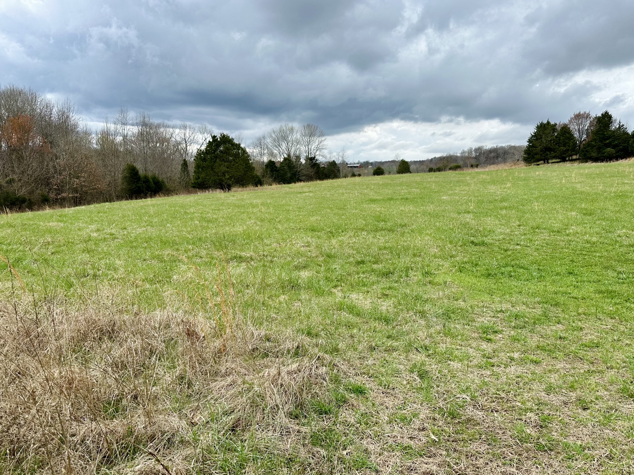 401 North Jones Road Portland, TN 37148 - Photo 20 of 25 a view of a big yard