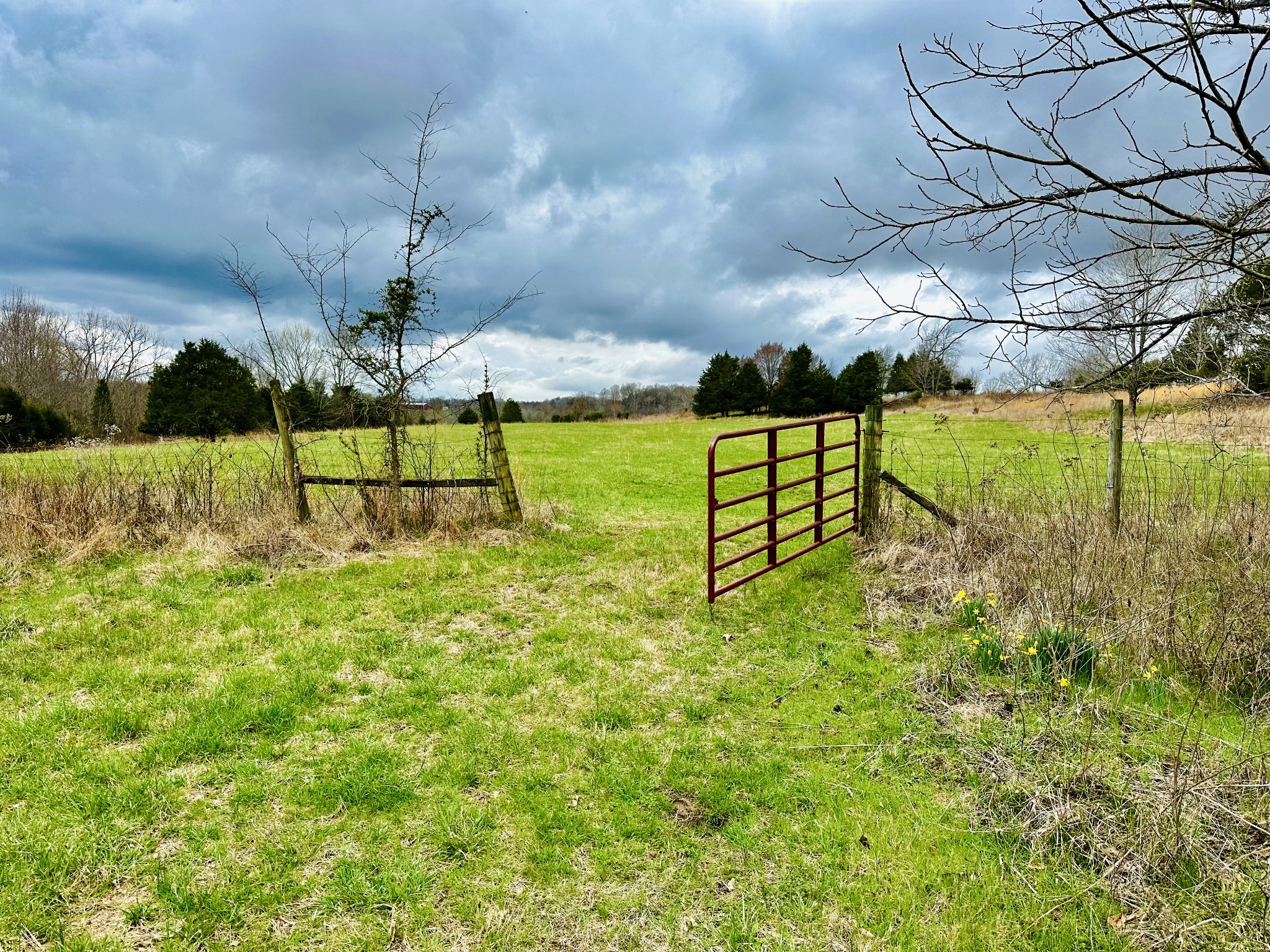 401 North Jones Road Portland, TN 37148 - Photo 21 of 25 a view of a garden