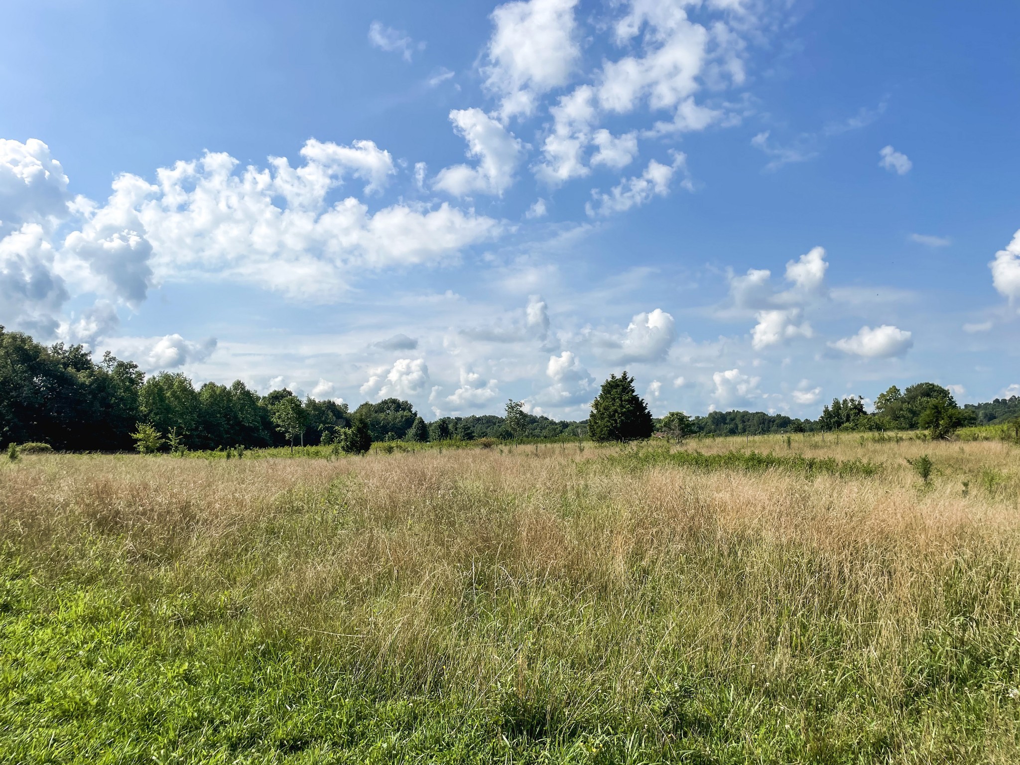 401 North Jones Road Portland, TN 37148 - Photo 23 of 25 a view of lake